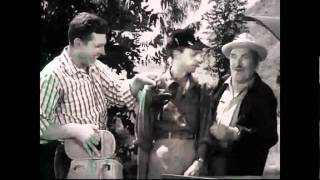 Andy Griffith Show Clips [upl. by Cleavland]