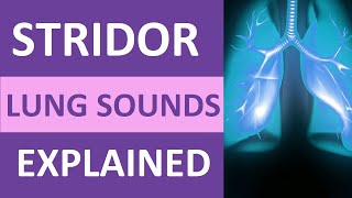 Stridor Lung Sound Audio Nursing NCLEX Review  Stridor Breath Sounds nursing [upl. by Khosrow]