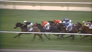 1985 Breeders Cup Turf [upl. by Risan185]