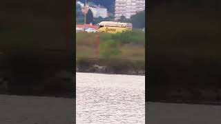 Cormorant flying like a boss shorts birdwatching spain animals [upl. by Cornie]