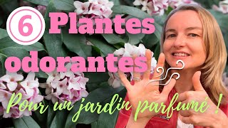 6 plantes odorantes pour un jardin agréablement parfumé [upl. by Nieberg691]