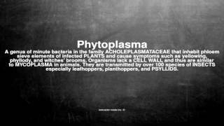 Medical vocabulary What does Phytoplasma mean [upl. by Annohs819]