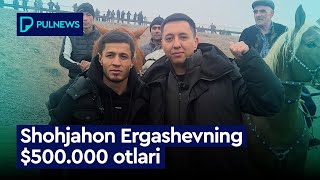 Shohjahon Ergashovni 500000 lik otlari exclusive [upl. by Llenhoj]