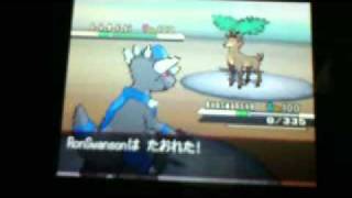 Pokemon Black and White WiFi Single 1  Kwandaoren66  ELo [upl. by Clerc144]