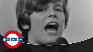 Hermans Hermits  No Milk Today 1966 [upl. by Noemad]