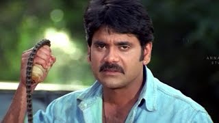 Nagarjuna Best Action Scene  Sitaramaraju Movie  HarikrishnaNagarjuna [upl. by Harlin]