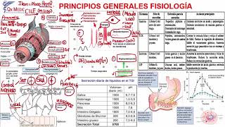 1 FISIOLOGíA GASTROINTESTINAL [upl. by Kohcztiy]