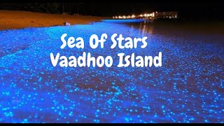 SeaOfStars Vaadhoo Island GlowingWater Sea Of Stars Vaadhoo Island Maldives [upl. by Seyler386]