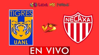 TIGRES VS NECAXA FEMENIL EN VIVO  LIGA BBVA MX FEMENIL APERTURA 2024  DONDE VER EN VIVO [upl. by Essirahs]