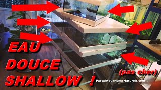 Aquascaping du futur  les aquariums tortues  bac shallow deau douce  Pascal Aquariums Naturels [upl. by Ynavoeg]