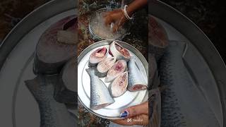 কচুর মুখি দিয়ে ইলিশ মাছ রান্না Kochur mukhi diye ilish macher recipe viralshorts shorts ilish [upl. by Nowtna]