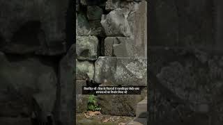 Ancient History facts HistoryUncovered AncientCivilizationsHistoricalDiscoveries facts shorts [upl. by Llertnac]