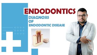 Diagnosis of endodontic disease [upl. by Hbaruas197]