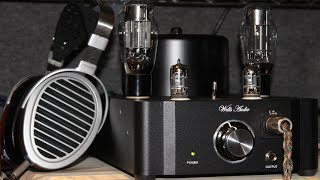 WELLS AUDIO V8  HEADPHONE AMP FIRST IMPRESSIONS [upl. by Welker124]