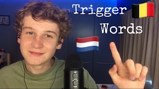 ASMR in Dutch  teaching basic Dutch trigger words [upl. by Ajuna]