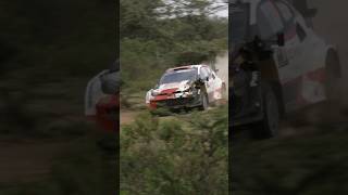 Takamoto Katsuta 🔥wrc safarirallykenya toyota gryaris rallycar rally1 toyotamotorsport [upl. by Lerat]