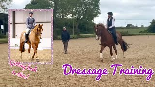 Dressage Training  prepping for British Dressage Elementary after injury [upl. by Nohtiek]