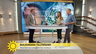 Trafikverket varnar för Alfrida quotTräd rycks upp och far ivägquot  Nyhetsmorgon TV4 [upl. by Gulick]