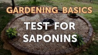 Test for Saponins [upl. by Ibbetson]