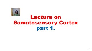 Lecture on Somatosensory Cortex part 1 By Dr Kavita S Gupta [upl. by Idoj]