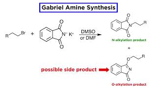 Gabriel Amine Synthesis [upl. by Esiralc]