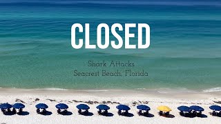 The Beaches Are CLOSED Shark Attacks [upl. by Gomez]