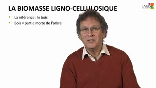 Définition caractérisation et propriétés de la biomasse lignocellulosique [upl. by Nirmak995]