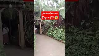 Japanese Tunnel at Botanical Garden Baguio City😱😊❤️😍 [upl. by Oicapot]