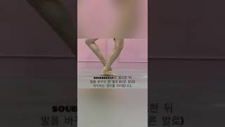 비에이발레 ballet jump Entrechat trois 발레점프 [upl. by Fineberg684]