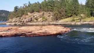 Massive Log Barge Tugged Through Dodds Narrows [upl. by Zednanreh856]