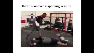 How To Survive A Sparring Session [upl. by Wj454]