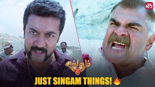 Suriyas Ultimate Mass Action Scene 🔥  Singam 3  Shruthi Hasaan  Anushka Shetty  Sun NXT [upl. by Sirdna]