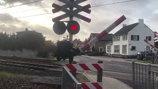 Spoorwegovergang Nieuwstadt  Dutch Railroad Crossing [upl. by Amathiste]