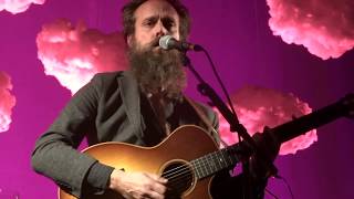 Iron amp Wine  Trapeze Swinger  Live In Paris 2018 [upl. by Certie862]