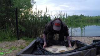 Carp Fishing  Etang De Bows May 16 Pt 3 [upl. by Waylan]