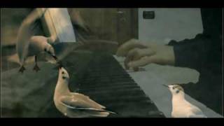 Lorenzo Jovanotti Cherubini  Baciami ancora piano cover by Andrixbest [upl. by Dry]