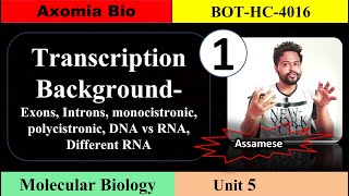 Transcription background cistron DNARNA  Unit 5  Class 1  Axomia Botany  BOTANY MAJOR GU [upl. by Shu662]