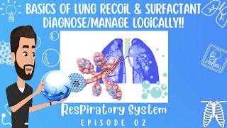 SURFACE TENSIONSURFACTANT AND ELASTANCE OF LUNG Respiratory System Episode 02 [upl. by Rotsen]