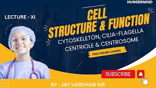 CYTOSKELETON CILIA FLAGELLA CENTRIOLE CENTROSOME hungermind [upl. by Marden]