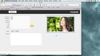 Filemaker Pro Basics for beginners [upl. by Alcot]