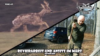 Revierarbeit und Ansitz im März  RevierLeben  Vlog 53 [upl. by Monte736]