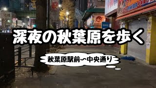 【アキバ散歩】深夜の秋葉原を歩く2024年【終電後の駅前〜中央通り】 [upl. by Nahttam]