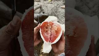 Dil bale fruits fruit naturallifeb satisfying fruitcutting naturalclips food naturelife plan [upl. by Airdnax383]