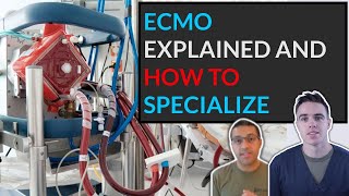 What is ECMO The basics explained AND HOW YOU CAN SPECIALIZE AS A RESPIRATORY THERAPIST AND NURSE [upl. by Celin]