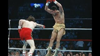 Hector Camacho  Amazing Speed amp Knockout Highlight [upl. by See]