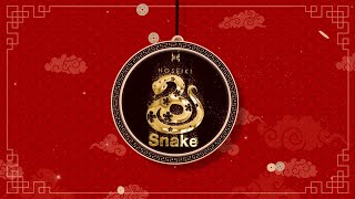 SNAKE Zodiac Forecast 2024  2024 属蛇生肖运势 [upl. by Alemak81]