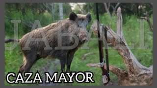 JABALI CACERIA DE CHANCHO caza mayor  unos días de caza en el monte [upl. by Ingrim]