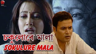 SOKULURE MALA GOTHA  ALOXUWA MON  ASSAMESE VIDEO SONG  ZUBEEN GARG  BARSHA RANI BISHAYA [upl. by Nwahshar601]