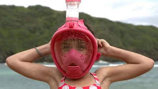 Hawaii investigates fullface snorkel masks [upl. by Ingold]