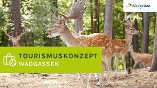 Tourismuskonzept Wadgassen  Neugestaltung von Wildpark Hallenbad und Sauna 🦌🌳 [upl. by Cordell320]